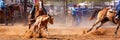 Australian Team Calf Roping Rodeo Event