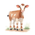 Calf in cartoon style. Cute Little Cartoon Calf isolated on white background. Watercolor drawing, hand-drawn in watercolor. For Royalty Free Stock Photo