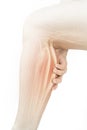 Calf muscle pain Royalty Free Stock Photo