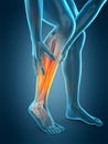Calf pain Royalty Free Stock Photo