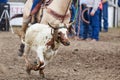 Calf Roping