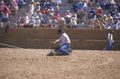 Calf roping, Royalty Free Stock Photo