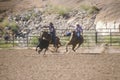 Calf roping,