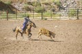 Calf roping Royalty Free Stock Photo