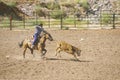 Calf roping