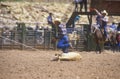 Calf roping Royalty Free Stock Photo