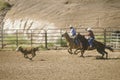 Calf roping Royalty Free Stock Photo