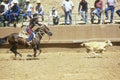 Calf roping Royalty Free Stock Photo