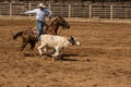 Calf Roping Competition in Deadwood South Dakota Royalty Free Stock Photo