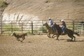 Calf roping, Inter-Tribal Ceremonial Indian Rodeo, Gallup NM