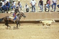 Calf roping, Navajo Rodeo, AZ Royalty Free Stock Photo
