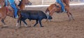 Calf Roping At An Outback Rodeo Royalty Free Stock Photo