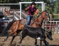 Roping Time Royalty Free Stock Photo