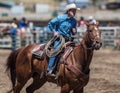 Calf Roping Time Royalty Free Stock Photo