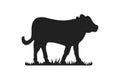 Calf silhouettes on grass. Cow grazing on meadow vector cartoon illustration. Royalty Free Stock Photo