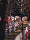 Red Ribbon for missing indigenous women at Field of Crosses