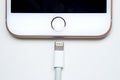 Close up of an iPhone Plus and a Lightning to USB Cable. Apple is killing Lightning