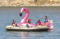 A few people on an inflatable giant pink flamingo, floating on the bow river during the