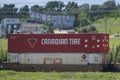 A close up to a Canadian Tire cargo container on a train