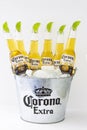 A bucket of Corona beer bottles with ice and limes