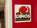 The Dinos are the athletics teams that represent University of Calgary. They symbolise