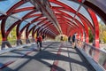 Calgary Peace Bridge in the Autumn season