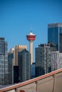 Calgary`s modern skyline during a nice fall day Royalty Free Stock Photo
