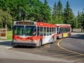 Calgary transit bus