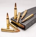 223 caliber bullets along with a loaded 223 caliber rifle magazine