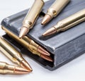 223 caliber bullets along with a loaded 223 caliber rifle magazine