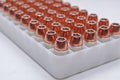 .40 caliber bullets lined up in a container Royalty Free Stock Photo