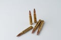 .30-06 caliber hunting rifle cartridges Royalty Free Stock Photo