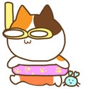 Calico cat go to dive on summer with her friend.