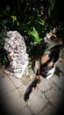 Calico cat jealous of lionstatue
