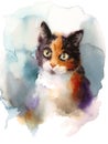 Calico Cat Watercolor Pet Portrait Illustration Hand Painted