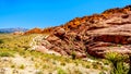 The Calico Hiking Trail in Red Rock Canyon National Conservation Area near Las Vegas, Nevada, USA Royalty Free Stock Photo