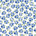 Calico watercolor pattern.