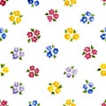 Calico watercolor pattern. Royalty Free Stock Photo