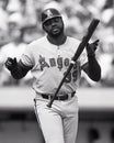 Dave Parker Royalty Free Stock Photo