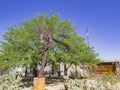 Exterior view of the visitor center in Joshua Tree National Park Royalty Free Stock Photo