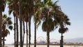 California beach aesthetic, classic ferris wheel, amusement park on pier in Santa Monica pacific ocean resort. Summertime iconic