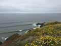 California beach near San Francisco with Blue Sky