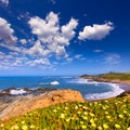 California Bean Hollow State beach in Cabrillo Hwy