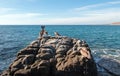 California Brown Pelicans perching on rocky outcrop at Cerritos Beach at Punta Lobos in Baja California Mexico Royalty Free Stock Photo
