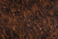 California Burl veneer background, texture in stylish tone as part of your unique exterior.