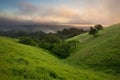 California Chaparral at Sunset