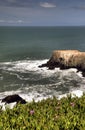 California coast