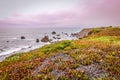 California coast