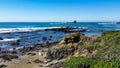 California Coast Seal lions napping in the sand