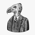 California condor gentleman. American Bird in costume. Fashion animal character. Hand drawn vintage sketch. Vector